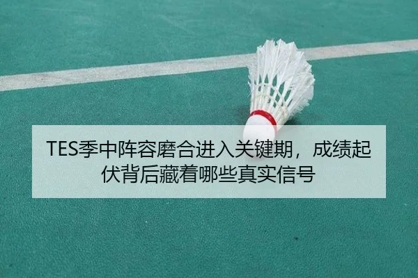 TES季中阵容磨合进入关键期，成绩起伏背后藏着哪些真实信号 | CCTV-5